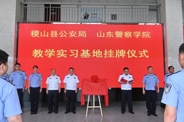图片6